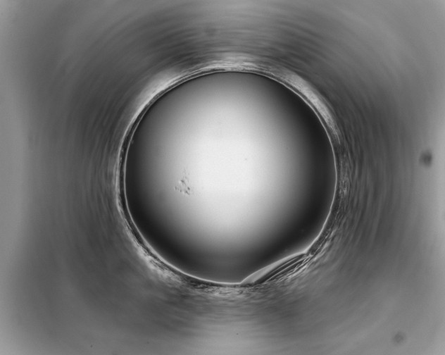 X0000099420861200805091241
