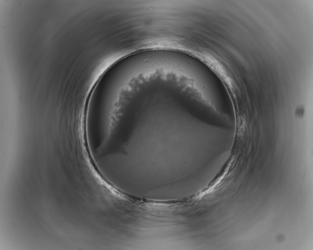 X0000099420863200805091241