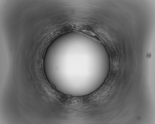 X0000099420865200805091240