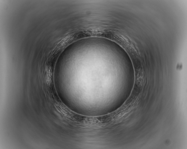 X0000099420866200805091240