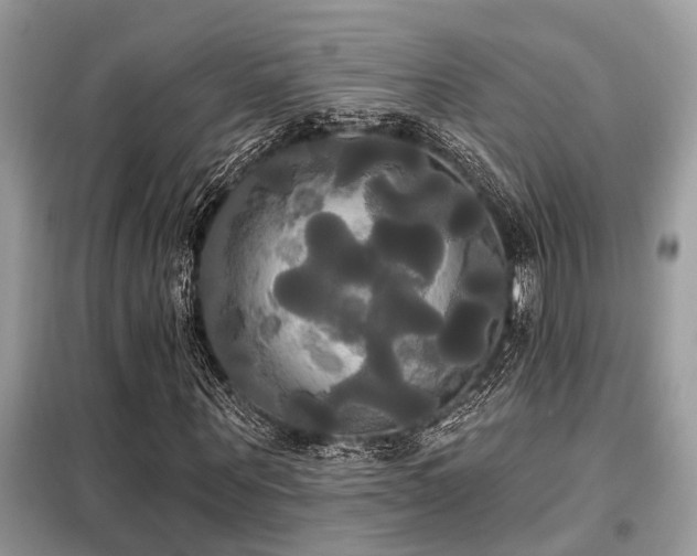X0000099420867200805091240