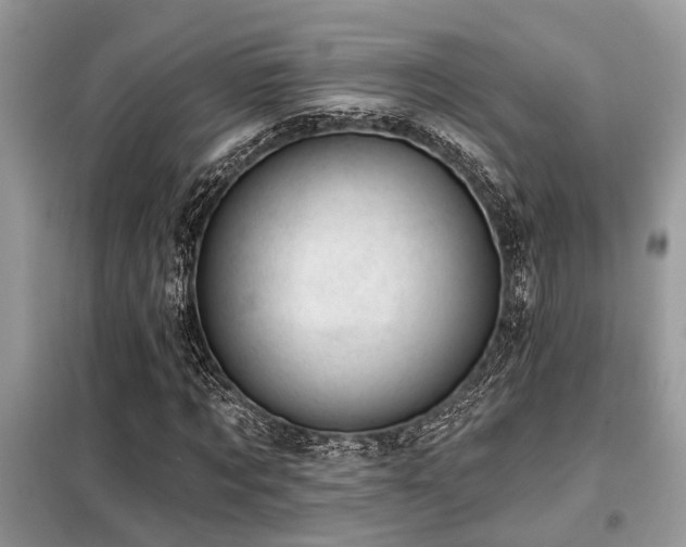 X0000099420869200805091240