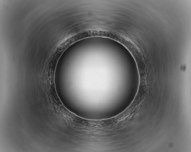 X0000099420870200805091240