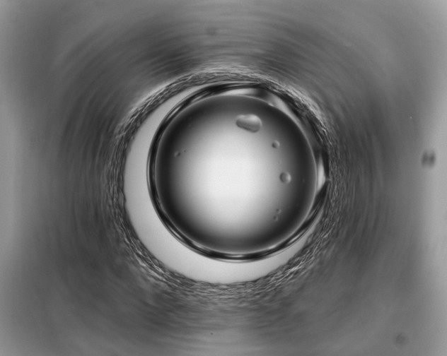 X0000099420872200805091240