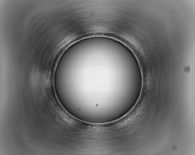 X0000099420873200805091240