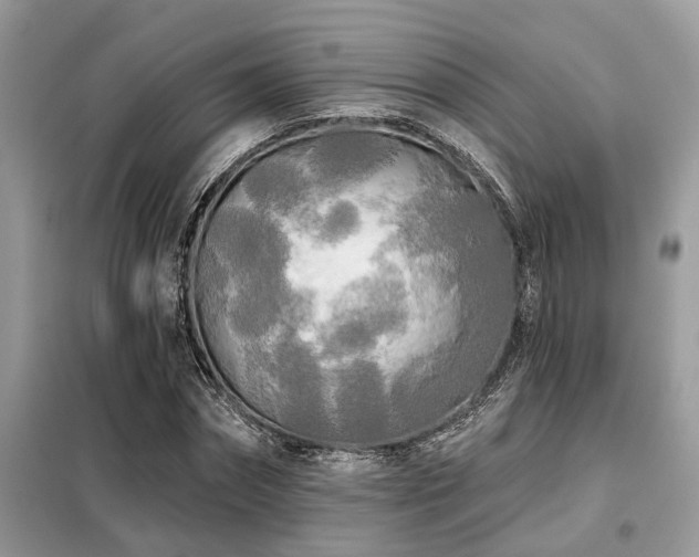 X0000099420874200805091240