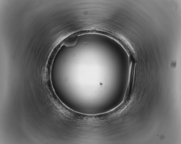 X0000099420876200805091240