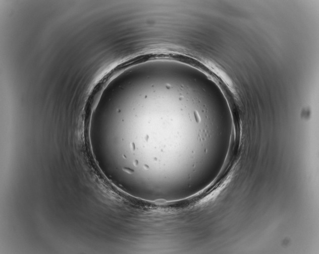 X0000099420877200805091240