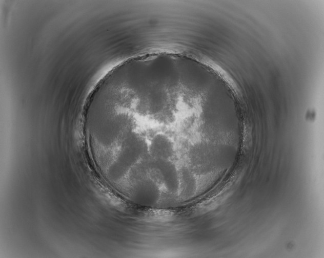 X0000099420878200805091240