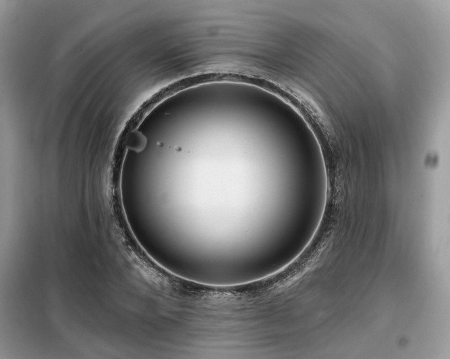 X0000099420880200805091240