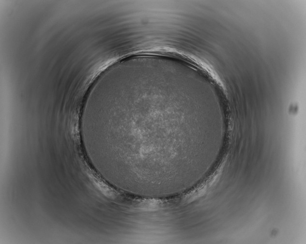 X0000099420881200805091240