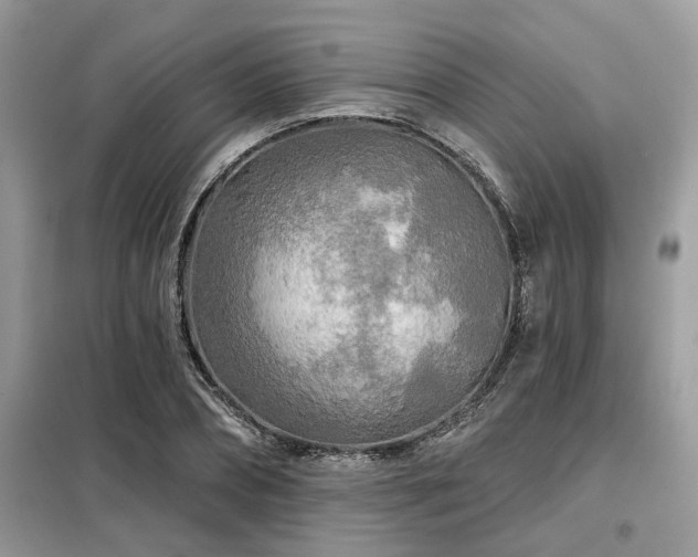 X0000099420882200805091240
