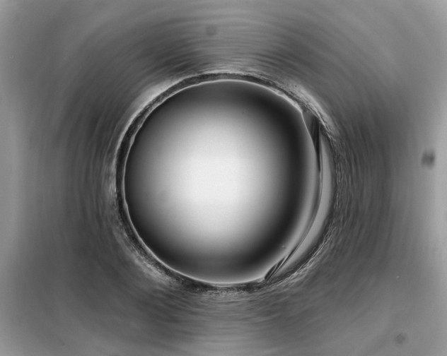 X0000099420884200805091240
