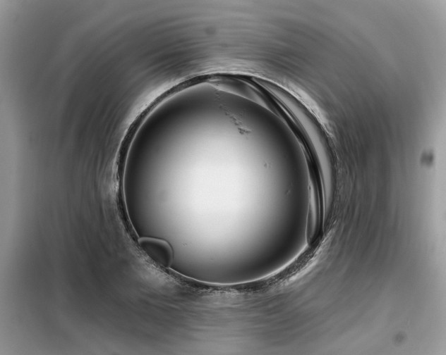 X0000099420885200805091240