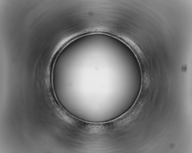 X0000099420886200805091240