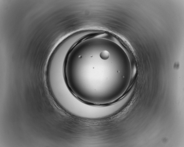 X0000099420887200805091240
