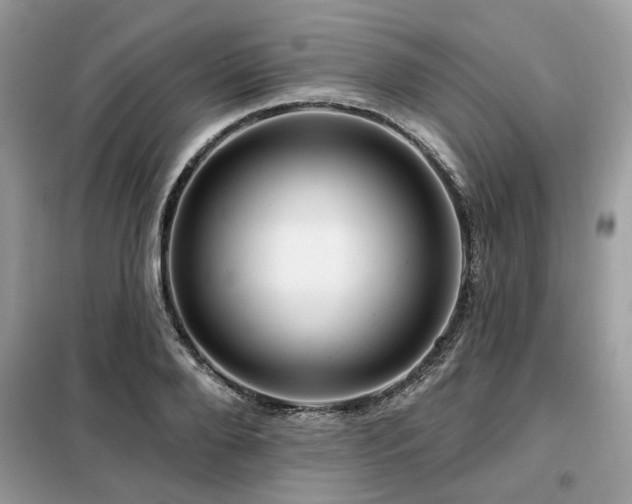 X0000099420888200805091240