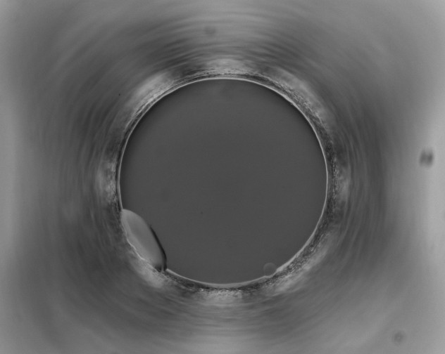 X0000099420889200805091240