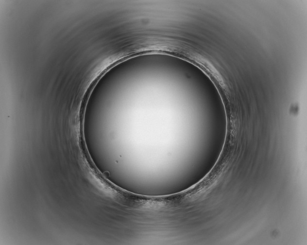 X0000099420890200805091240