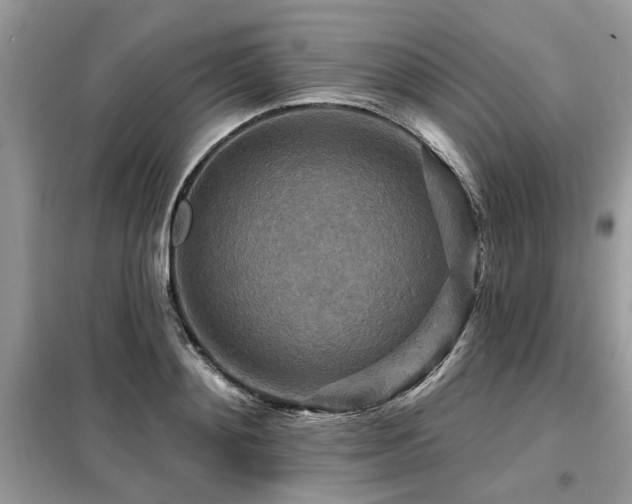 X0000099420892200805091240