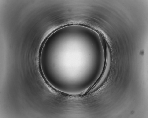 X0000099420894200805091240