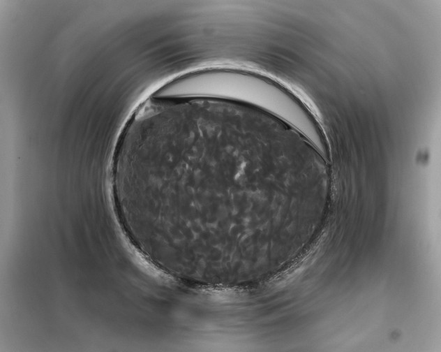 X0000099420895200805091240