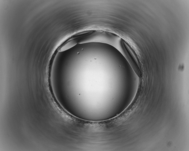 X0000099420896200805091240
