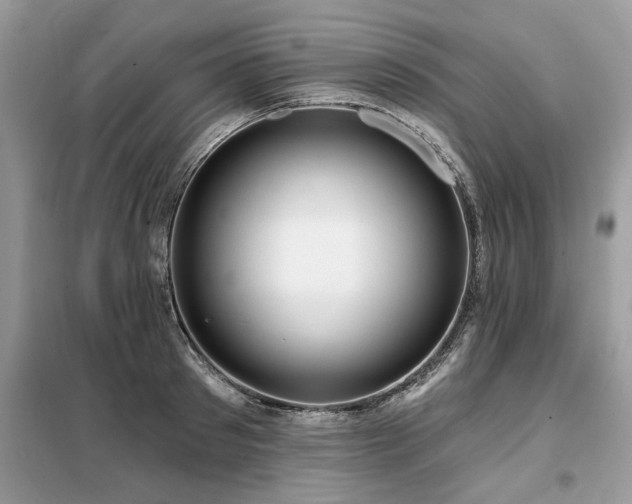 X0000099420897200805091240