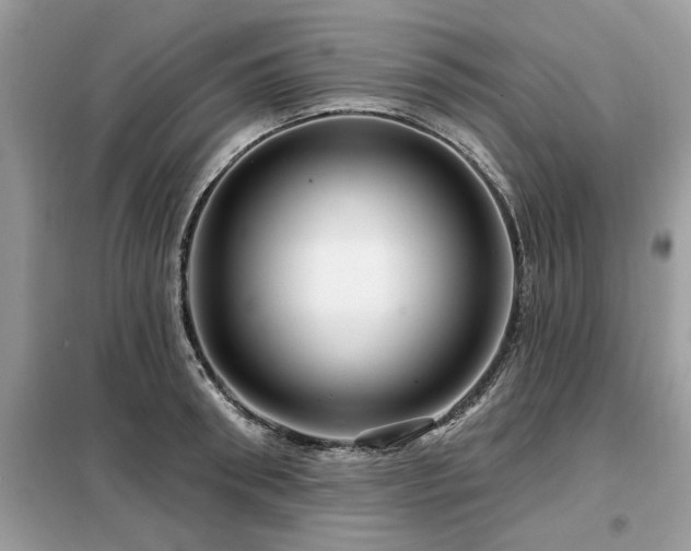 X0000099420898200805091240