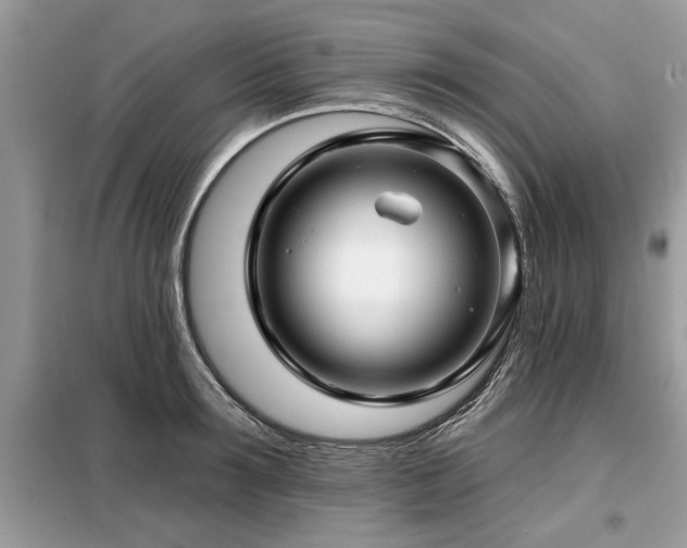 X0000099420899200805091240