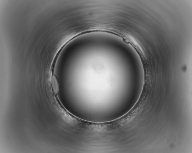 X0000099420900200805091240
