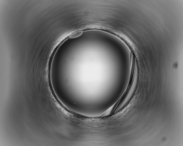 X0000099420902200805091240