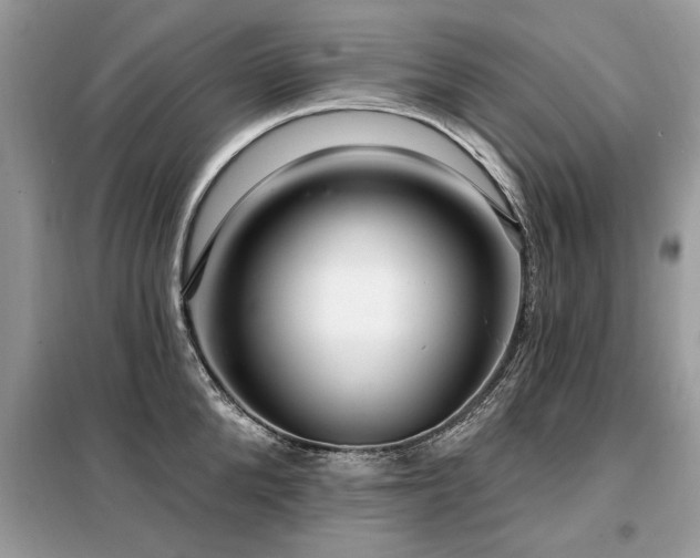 X0000099420904200805091240