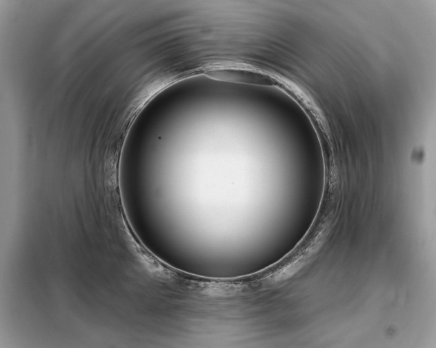 X0000099420905200805091240