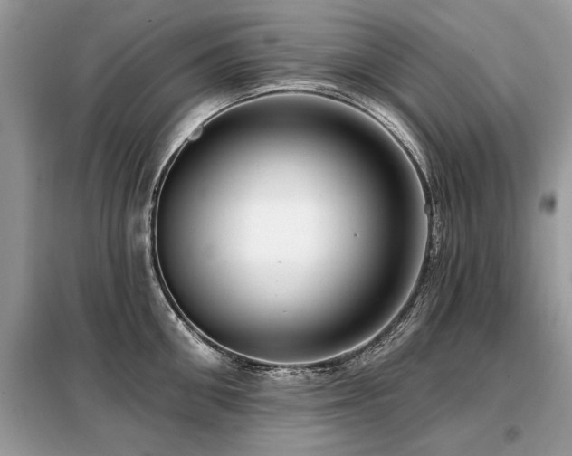 X0000099420906200805091240