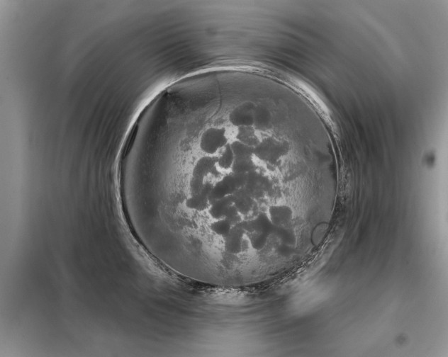 X0000099420907200805091240