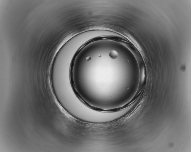 X0000099420909200805091240