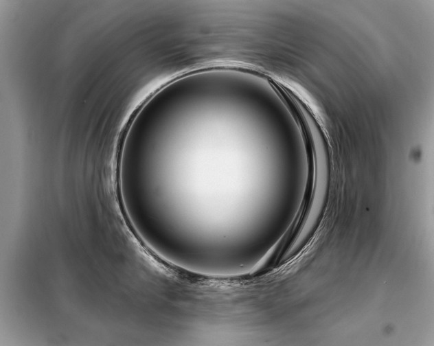 X0000099420910200805091240