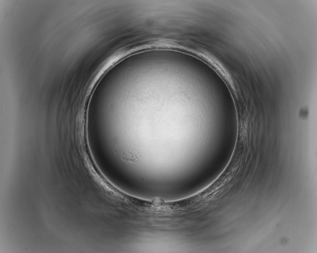 X0000099420911200805091240