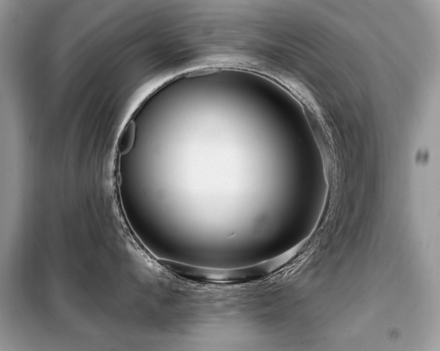 X0000099420912200805091240
