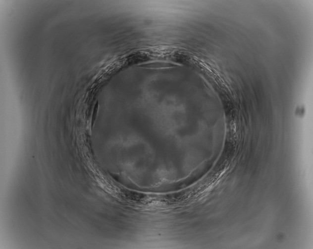 X0000099420913200805091239
