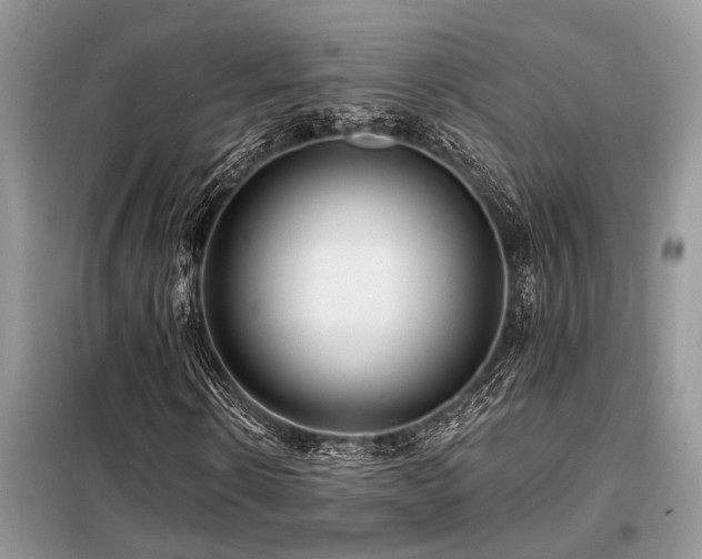 X0000099420914200805091239