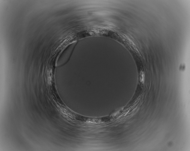 X0000099420915200805091239