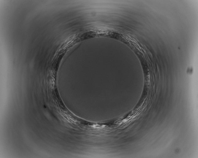 X0000099420916200805091239