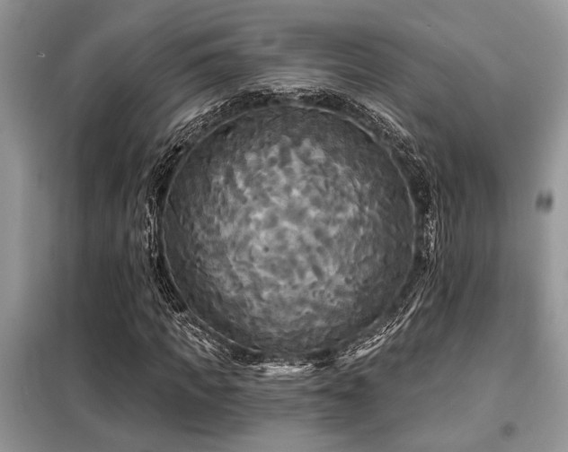 X0000099420917200805091239