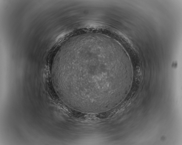 X0000099420918200805091239