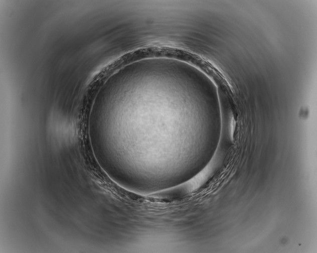 X0000099420919200805091239