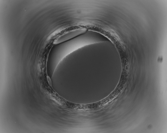 X0000099420920200805091239
