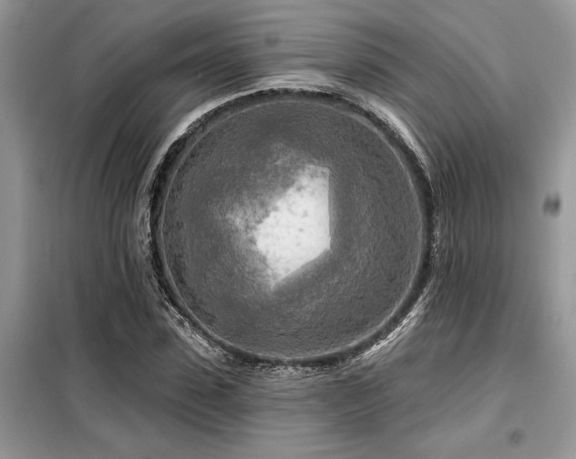 X0000099420923200805091239