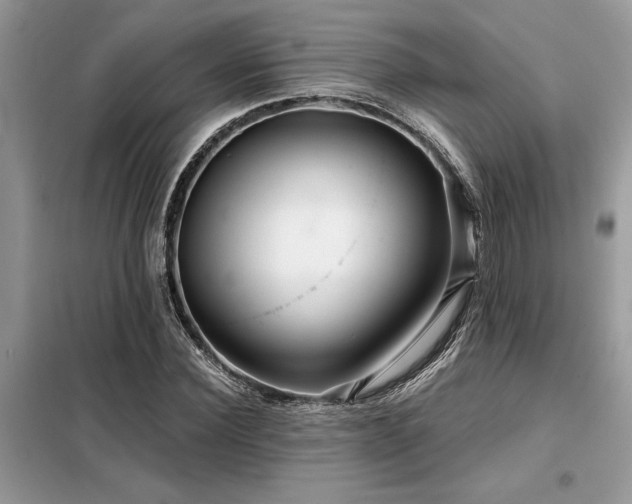 X0000099420924200805091239